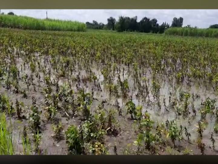 साताऱा शहरासह महाबळेश्वर, पाचगणी, वाई परिसरात मुसळधार बॅटिंग केली. त्यामुळे साताऱ्यातील स्ट्रॉबेरी उत्पादकांना नुकसानाची भीती आहे.