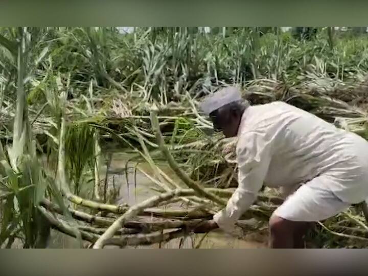 सिंधुदुर्गात अवकाळीच्या हजेरीमुळे झाडं, विजेचे खांब रस्त्यावर पडले तर काही घरांची कौल उडून गेल्यानं संसार उघड्यावर आले.