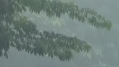 રાજ્યમાં શિયાળુ પાકનું વાવેતર કરતા ખેડૂતો માટે ચિંતાજનક સમાચાર, જુઓ ગુજરાતી ન્યુઝ