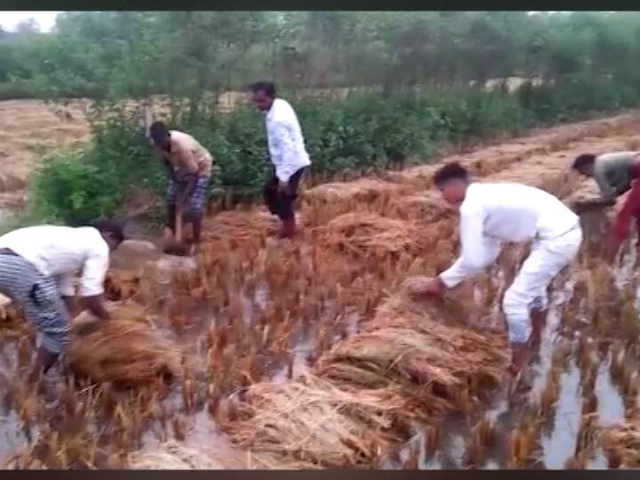तिकडे कोकणातल्या रत्नागिरी जिल्ह्यातील चिपळूण, खेड, दापोली, गुहागरमध्ये वादळी वाऱ्यासह मुसळधार पाऊस झाला. त्यामुळे काही काळ का होईना हवेत गारवा पाहायला मिळाला.