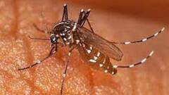 Malaria: রাজ্যে গত বছরের তুলনায় ১৯ শতাংশ বেশি ম্যালেরিয়ায় আক্রান্তের সংখ্যা: অতীন ঘোষ | Bangla News