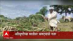 Cyber Crime Farmers : शेतकऱ्यांनो सावधान! Hackersची नजर तुमच्या पैशांवर, बँक डिटेल्स देऊ नका!