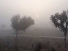 Rajasthan Weather and Pollution Report: राजस्थान के कई जिलो में पारा 10 के नीचे, हो सकती है बारिश, प्रदूषण सामान्य