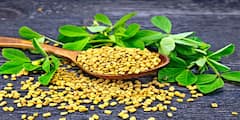 Benefits of Methi: মেথির এত গুণ? কোন কোন রোগে ম্যাজিকের মত কাজ করে?