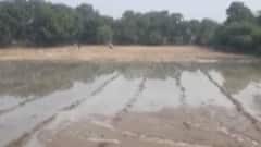 બનાસકાંઠા: સતત બીજા દિવસે કેનાલમાં ગાબડાં પાડવાનું યથાવત, જુઓ ગુજરાતી ન્યુઝ