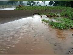 Maharashtra Uncertain Rain : राज्यात अवकाळी पाऊस, पिकांचं मोठं नुकसान