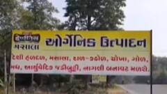 ડાંગ જિલ્લો દેશનો પ્રથમ પ્રાકૃતિક જિલ્લા બનશે, 19 નવેમ્બરે થશે જાહેરાત, જુઓ ગુજરાતી ન્યુઝ