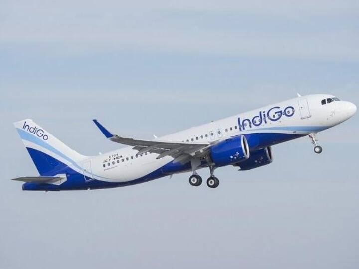 Some pilots suspended from Indigo in the wake of tomorrow Indigo worker agitation Indigo : इंडिगोकडून वैमानिकांच्या वेतनात कपात,  आंदोलन करणाऱ्या वैमानिकांचे  निलंबन