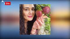 Priety Zinta: అభిమానులకు గుడ్ న్యూస్ చెప్పిన ప్రీతి జింతా...సోషల్ మీడియాలో పోస్టు వైరల్