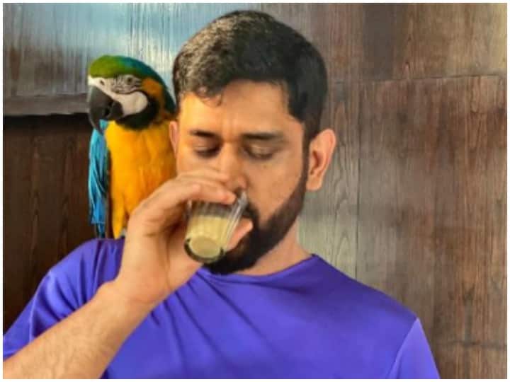 Viral Photos: Sakshi Dhoni Shares Pic Of Husband MS Dhoni's 'Chai Date' With Pet Macaw 'Honey' Sakshi Dhoni Shares Pic Of Husband MS Dhoni's 'Chai Date' With Pet Macaw 'Honey'