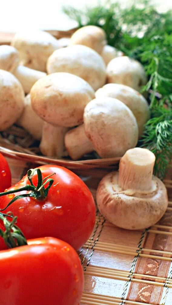 সুষম ডায়েটে থাক মাশরুমের পদ, উপকারিতা অনেক