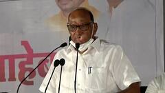 Sharad Pawar : राष्ट्रवादी अध्यक्ष शरद पवार दिल्लीच्या दौऱ्यावर, राजनाथ सिंह यांची घेणार भेट