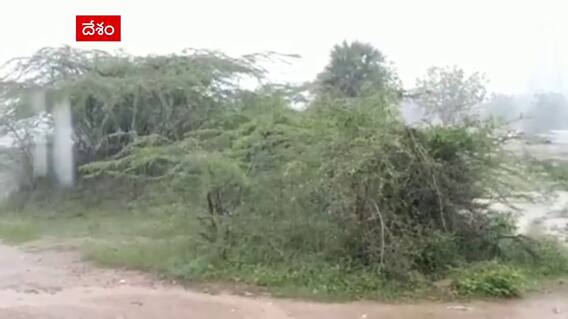 Nellore : భారీ వర్షాల కారణంగా  గ్రామాలకు రాకపోకలు బంద్