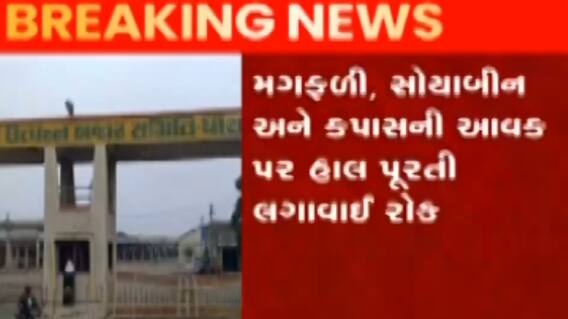 રાજકોટ માર્કેટિંગ યાર્ડ: વરસાદના કારણે જણસની આવક બંધ કરાઈ, જુઓ ગુજરાતી ન્યુઝ