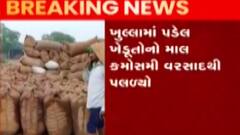 પાલનપુર માર્કેટિંગ યાર્ડમાં સત્તાધીશોની નિષ્કાળલજી, મગફળી થઇ ભીની, જુઓ ગુજરાતી ન્યુઝ