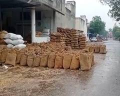 રાજ્યના અનેક વિસ્તારોમાં કમોસમી વરસાદ, બહુચરાજી APMCમાં પાક પલળતા ખેડૂતોને ભારે નુકસાન