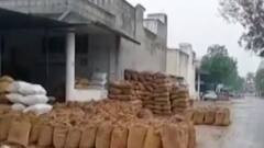 પાલનપુર માર્કેટ યાર્ડમાં ખેડૂતોના મગફળીના પાકને નુકસાન, વરસાદના કારણે નુકસાન, જુઓ ગુજરાતી ન્યુઝ