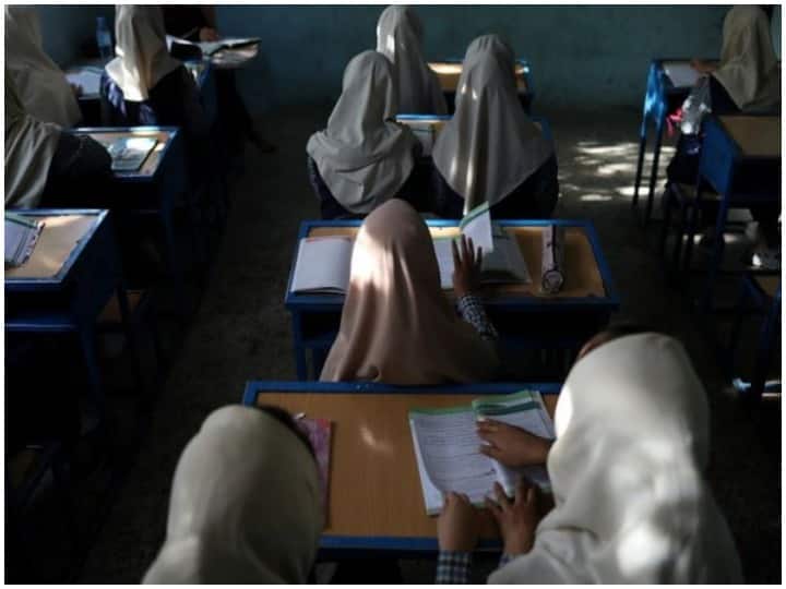 do not oppose female education will make curriculum Islamic Afghanistan Crisis: तालिबान के कार्यवाहक शिक्षा मंत्री का महिलाओं की शिक्षा पर बडा बयान, जानिए क्या कहा