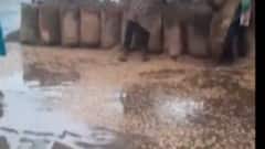 ઉત્તર ગુજરાતમાં વરસાદના કારણે હાલાકી સર્જાઈ, પાકને નુકસાન થતા ખેડૂતો દુઃખી, જુઓ ગુજરાતી ન્યુઝ