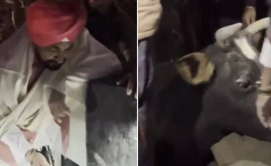 WATCH | When Punjab CM Channi Helped Rescue A Cow From A Pit At Midnight WATCH | When Punjab CM Channi Helped Rescue A Cow From A Pit At Midnight