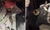 WATCH | When Punjab CM Channi Helped Rescue A Cow From A Pit At Midnight