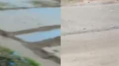 કચ્છના રાપરમાં પણ કમોસમી વરસાદથી પાકને નુકસાન, જુઓ ગુજરાતી ન્યુઝ