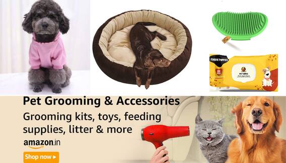Amazon Deal: सर्दियों में अपने Pet के लिये जैकेट खरीदनी हैं तो एमेजॉन पर चेक करें ये डील, सिर्फ 250 रुपये में अपने डॉग को बनायें स्टाइलिश Amazon Deal: सर्दियों में अपने Pet के लिये जैकेट खरीदनी हैं तो एमेजॉन पर चेक करें ये डील, सिर्फ 250 रुपये में अपने डॉग को बनायें स्टाइलिश