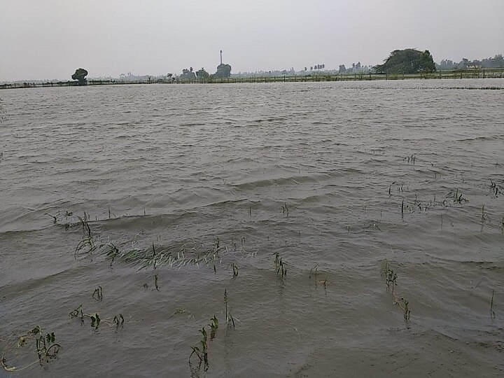 திருவாரூர் : கனமழை காரணமாக பள்ளி மற்றும் கல்லூரிகளுக்கு விடுமுறை - ஆட்சியர் உத்தரவு