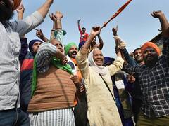 IN PICS | Farmers At Singhu Border Celebrate As PM Modi Announces Farm Laws Will Go