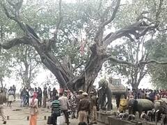 Crime News: महाराजगंज में पुजारी और साध्वी की ईंट पत्थरों से कुचलकर हत्या, डबल मर्डर से क्षेत्र में फैली सनसनी