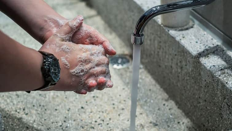 World Toilet Day 2021: Here’s Why You Should Wash Your Hands After Going to the Bathroom, Know In Details World Toilet Day 2021: প্রতিবার শৌচাগার ব্যবহারের পর কেন অবশ্যই হাত ধোওয়া প্রয়োজন?