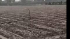 કાંકરેજમાં સતત વરસાદ, આકોલી, ખરીયા, થરા, શિહોરીમાં મેઘરાજાની સવારી, જુઓ ગુજરાતી ન્યુઝ