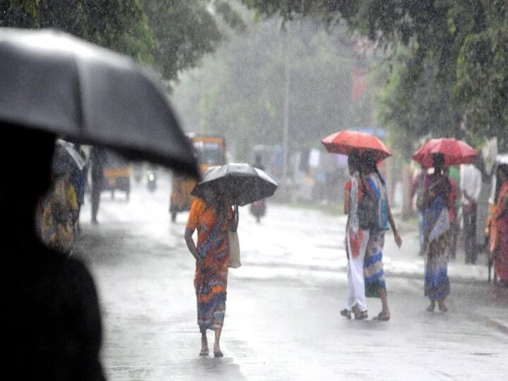 Dindigul district receives 32 cm of rainfall overnight திண்டுக்கல் மாவட்டத்தில் ஒரே இரவில் 32 செ.மீ மழைப்பதிவு