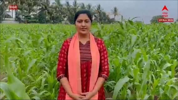 Farm Law Repeal : टुट गया अभिमान, जित गया मेरा किसान : डॉ. प्रज्ञा सातव यांची प्रतिक्रिया