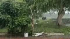 આપણી ખબરઃરાજ્યમાં કમોસમી વરસાદને કારણે ખેડૂતોને ભારે હાલાકી, હજુ કેટલા દિવસ પડશે વરસાદ?