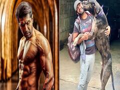 In Pics | Arun Vijay Birthday: அல்டிமேட் பிட்னஸ்..  அருண் விஜயின் மிடுக்கான புகைப்படங்கள்
