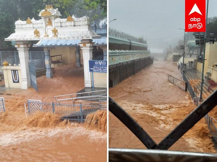 Havoc in Tirupati as heavy rains flood many areas, submerge vehicles Watch Video | ரோட்டுலயும் தண்ணீர்.. காட்டுலயும் தண்ணீர்.. வெள்ளத்தில் மிதக்கும் திருப்பதி!