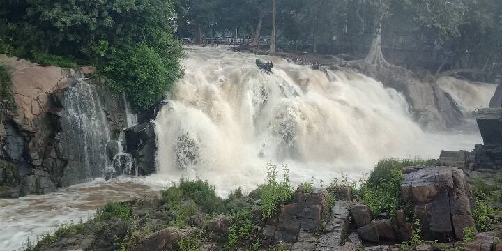 Increase in water level in the Cauvery River - flooding in the Hogenakkal Falls காவிரியில் பீறிட்டு வரும் 57,000 கன அடி நீர் - ஒகேனேக்கல் அருவியை மூழ்கடித்து செல்லும் வெள்ளம்