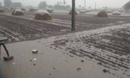 Unseasonal rains  in many districts of the state રાજ્યનાં અનેક જિલ્લાઓમાં ભરશિયાળે વરસાદ, માવઠાંથી ખેડૂતોમાં ફફડાટ 