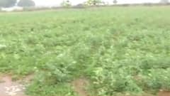 Jhansi Chaupal: किसानों ने कहा- सरकार ने देरी से उठाया कदम, अभी लड़ाई लंबी | Hindi News