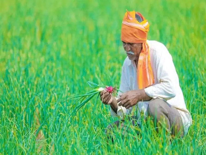 Rajasthan 8.84 lakh farmers got the benefit of Mukhyamantri Kisan Mitra Urja Yojana 2021 how to apply for scheme MKMUY 2021: राजस्थान में 8.84 लाख किसानों को मिला मुख्यमंत्री किसान मित्र योजना का फायदा, जानिए आपको कैसे मिलेगा लाभ, कैसे करें रजिस्ट्रेशन