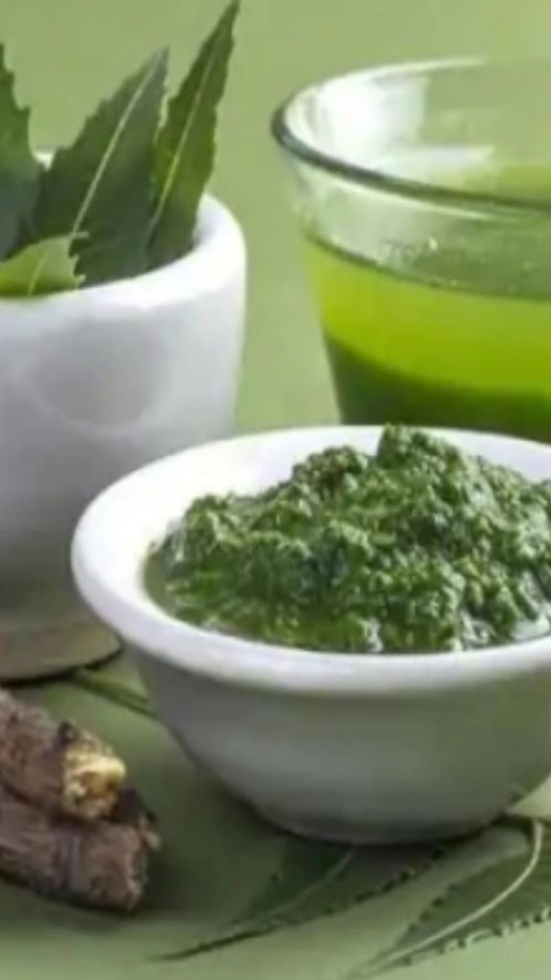 নিমপাতা দিয়ে পেস্ট তৈরি করে নিন