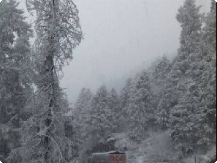 Freezing cold conditions prevail across Kashmir and Ladakh ANN Kashmir Weather Updates: कश्मीर और लद्दाख में पारा जीरो से नीचे, यहां जानिए किस इलाके की क्या है स्थिति