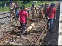 பெரும் பரபரப்பு.. தமிழ் தெரியாத நிலைய அதிகாரி.. ரயில் நிலையத்திற்கு வந்த வெடிகுண்டு மிரட்டல் கடிதம்..