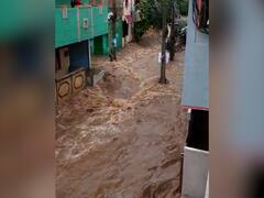 In Pics | आंध्रप्रदेशच्या अनेक जिल्ह्यांमध्ये पावसाचा हाहाकार,  Tirupati मंदिरात पाणीच पाणी