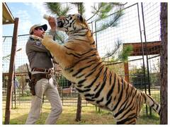 Tiger King का दूसरा सीज़न पसंद आया? तो अब नेटफ्लिक्स, अमेज़न प्राइम वीडियो पर देखें ये शानदार क्राइम सीरीज़