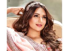 PHOTO: गुलाबी रंगाच्या ड्रेसमध्ये दिव्यांका त्रिपाठीचा क्युट लूक, चाहते घायाळ