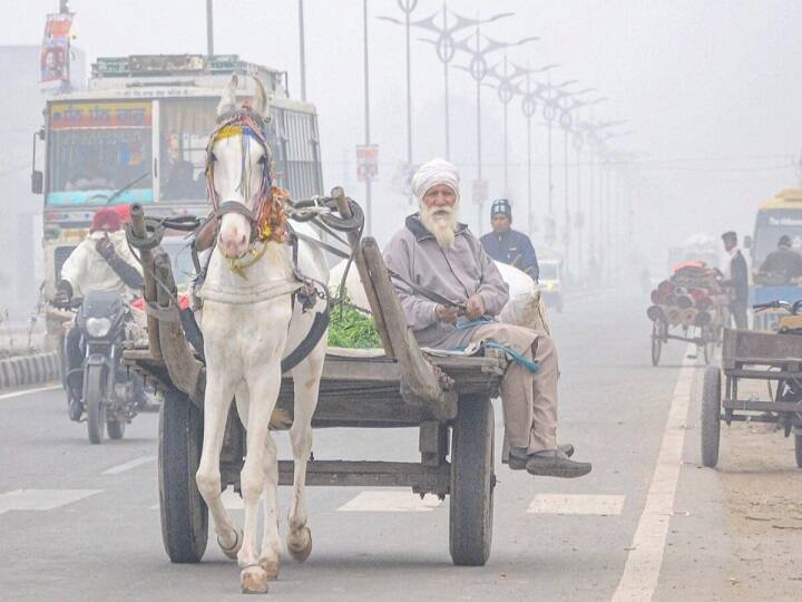 rain alert in punjab know weather and pollution report of amritsar,jalandhar,ludhiana today 20 november Punjab Weather and Pollution Report: पंजाब में बारिश का अलर्ट, पारा गिरने से बढ़ी ठंड, जहरीली हुई हवा