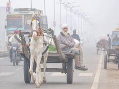 Punjab Weather and Pollution Report: पंजाब में बारिश का अलर्ट, पारा गिरने से बढ़ी ठंड, जहरीली हुई हवा