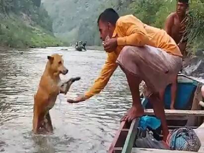 Pet dog runs beside boat to reach its human. Watch sweet video Watch Video | நல்ல நண்பன் வேண்டுமென்று.. இன்று உங்கள் நாளை அழகாக்கும் க்யூட் வீடியோ..